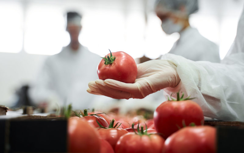 Cropped photo of a supermarket worker demonstrating the fresh produce in front of the camera